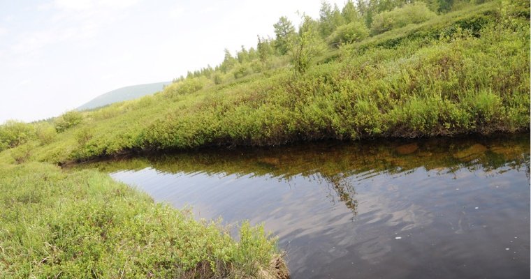 Спорткомплекс «Чекерил» в Удмуртии сбрасывал в реку Чумойка неочищенные сточные воды