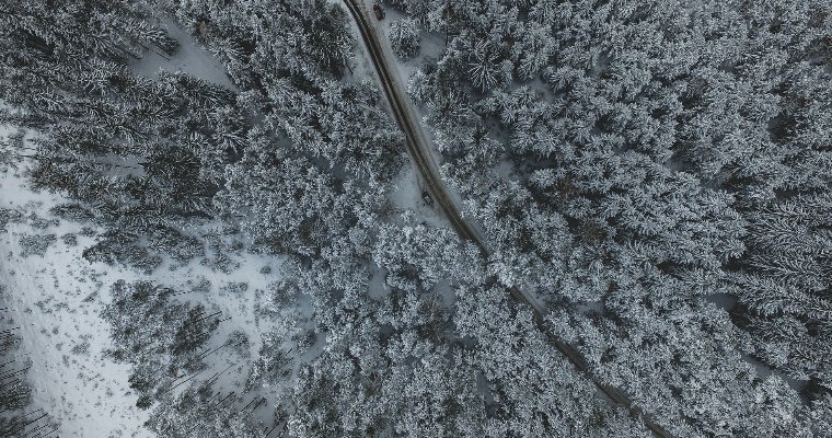 Туристические маршруты разработали в Вавожском районе 