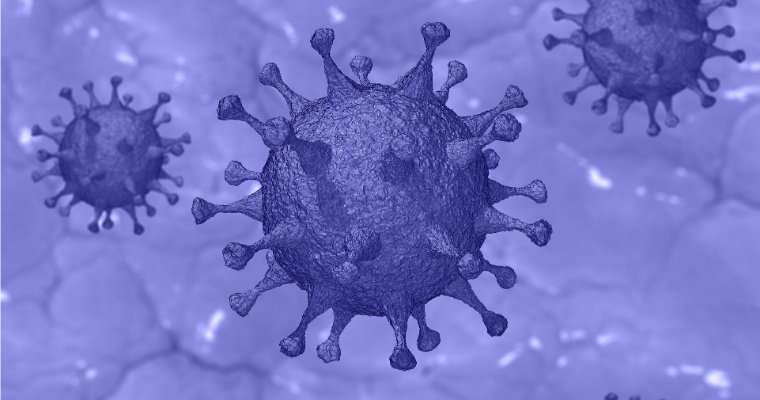 В Удмуртии еще 9 пациентов выздоровели от коронавируса, 1 заболевший — скончался