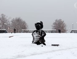 Умеренный снег выпадет местами по Удмуртии 11 декабря 