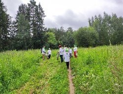 Субботник в Ярушкинском дендропарке, собачья регата в Пензе и попытка сжечь отель с мигрантами: новости к этому часу