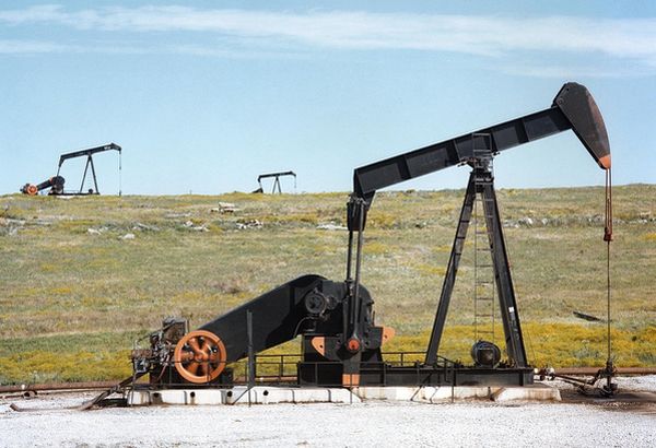 Мировые цены на нефть начали расти