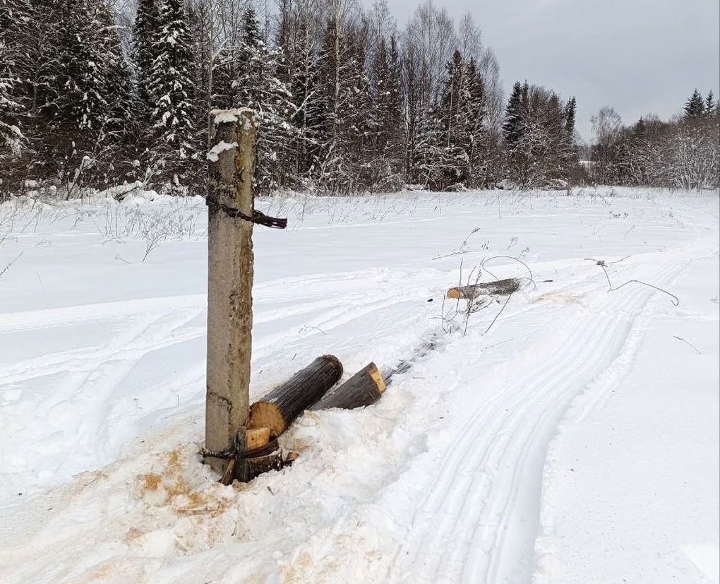 Селянин в Удмуртии спилил 12 электростолбов в лесу и попытался украсть более километра проводов