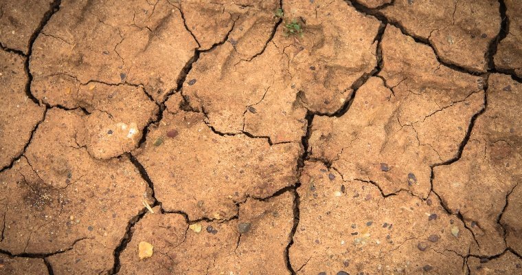 Самая длинная река Франции из-за жары превратилась в ручей