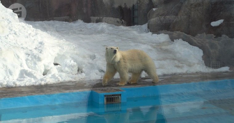 Два температурных рекорда обновились в Ижевске 13 и 14 марта