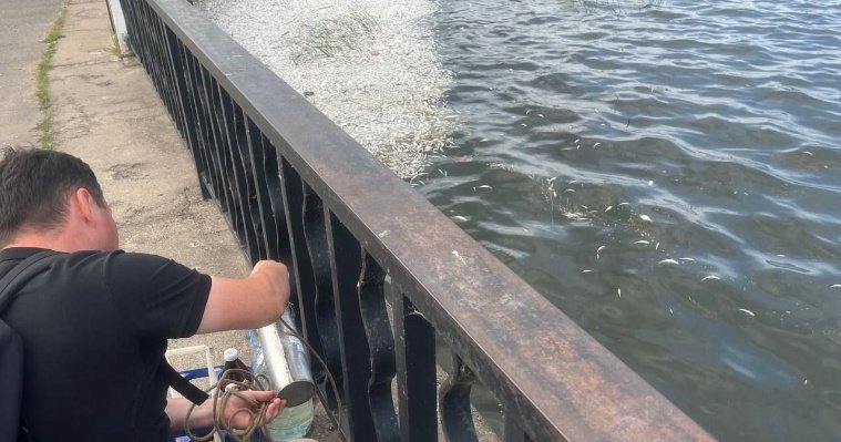 Воду из Воткинского пруда проверят в лаборатории после рыбьего мора