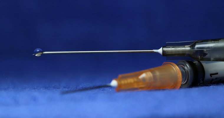 Почти 9 тыс доз вакцины от бешенства поступят в больницы Удмуртии за полтора месяца
