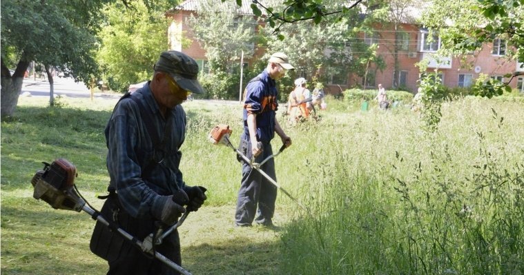 Глава Глазова: «Дальше со слабым подрядчиком по покосу травы работать невозможно» 