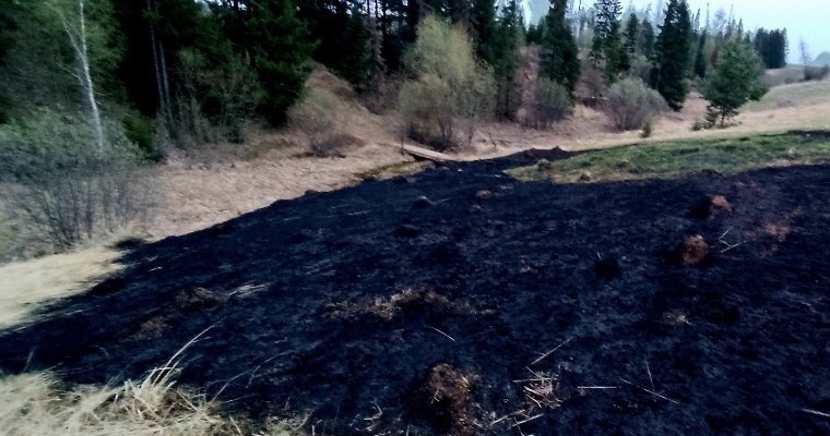 Ландшафтный пожар в Малопургинском районе и эвакуация россиян из Судана: новости к этому часу