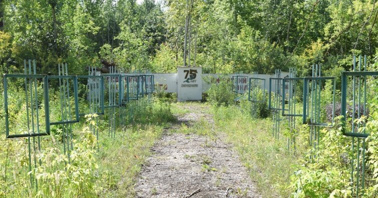 В Ижевском аэроклубе реконструируют Аллею Героев