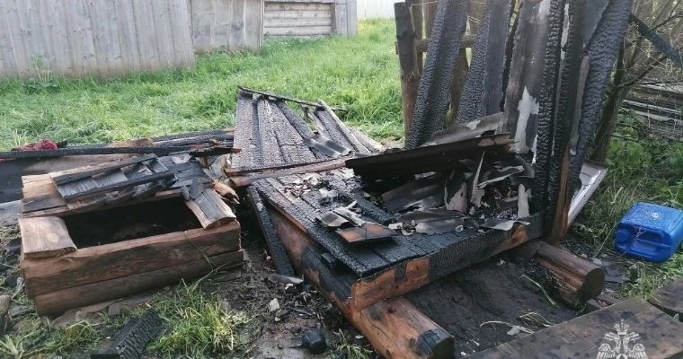 Дети из-за скуки подожгли уличный туалет в Малопургинском районе