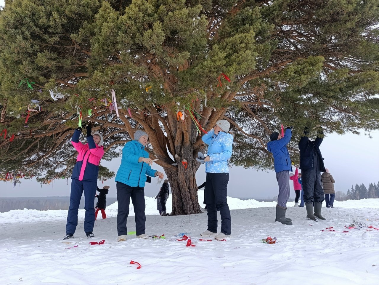 Жители Удмуртии в третий раз очистят 300-летнюю сосну от ленточек туристов