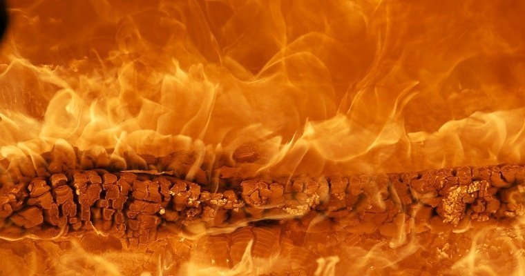 Житель Удмуртии спас соседа из горящего дома