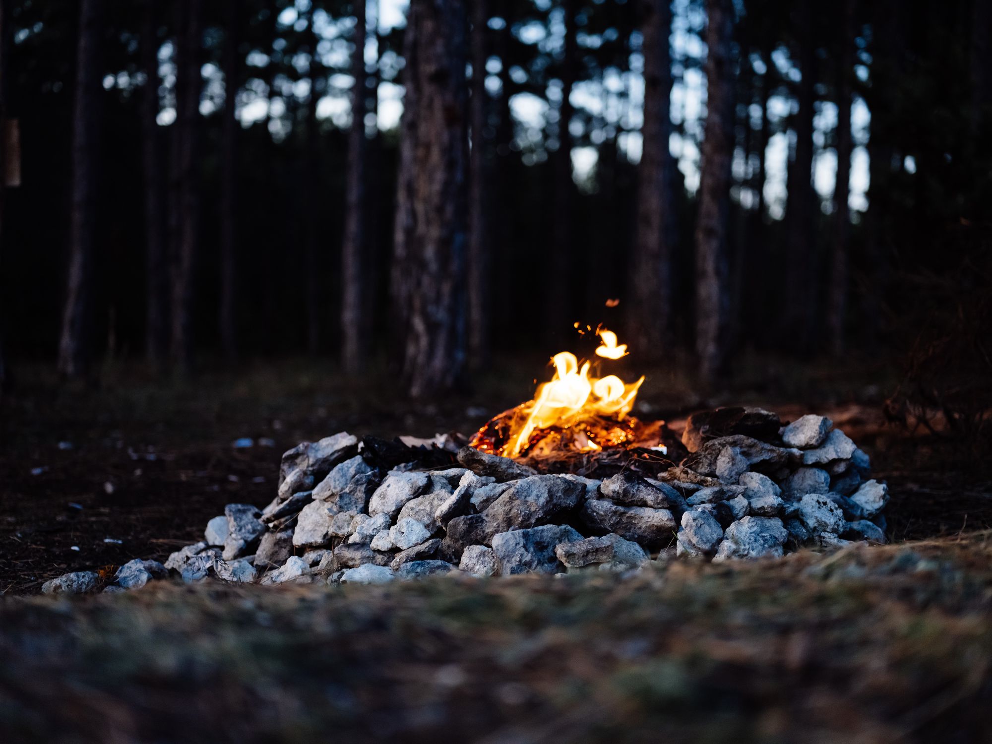 В Удмуртии выписали штрафы на 55 тысяч рублей за нарушение особого противопожарного режима