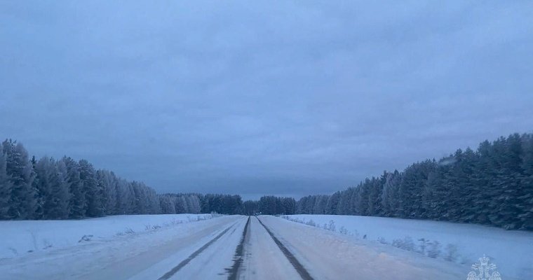 4 января в Удмуртии ограничили движение для грузового транспорта в сторону Воткинска 