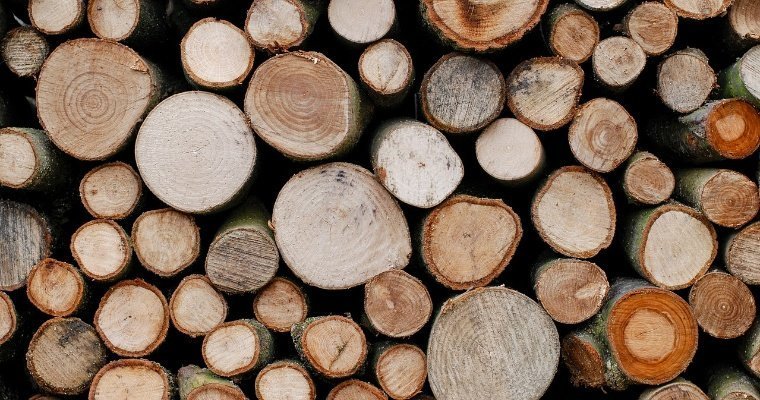 Житель Удмуртии погиб на заготовке дров