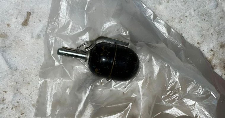 У жителя Можги в ходе проверки документов обнаружили гранату