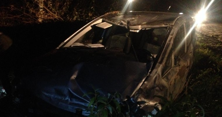 Выбежавший на дорогу в Удмуртии лось повредил сразу два авто