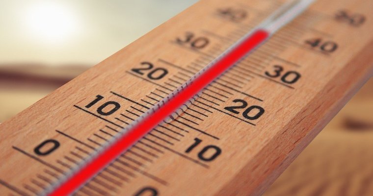 До +33 градусов ожидается в Удмуртии в пятницу