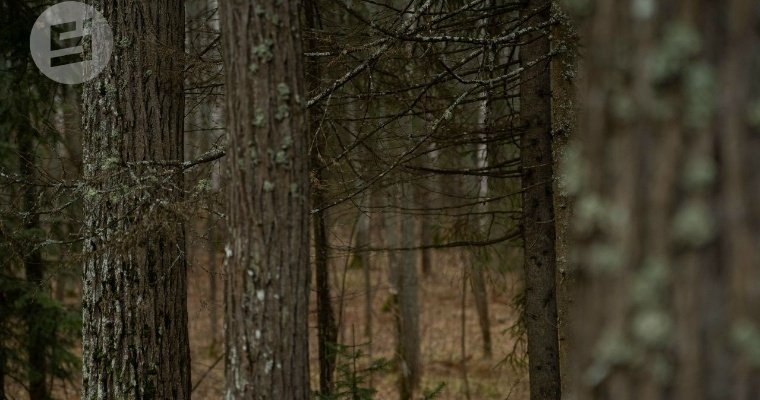 Температурный рекорд зафиксировали в Ижевске в последний день осени 