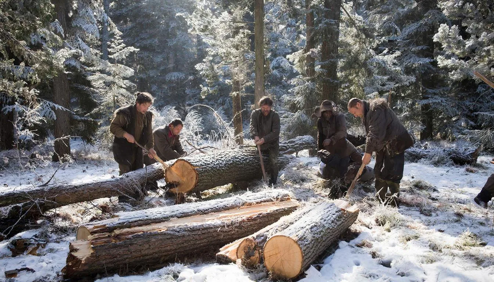 В Госсовете Удмуртии обсудили заготовку древесины гражданами для печного отопления и других нужд
