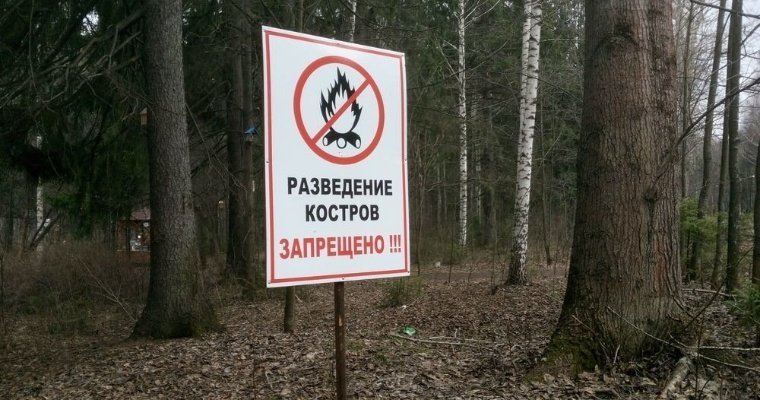До конца мая в Удмуртии запретят разводить костры и сжигать мусор 