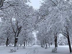 Предстоящие выходные и начало новой недели в Удмуртии будут снежными 