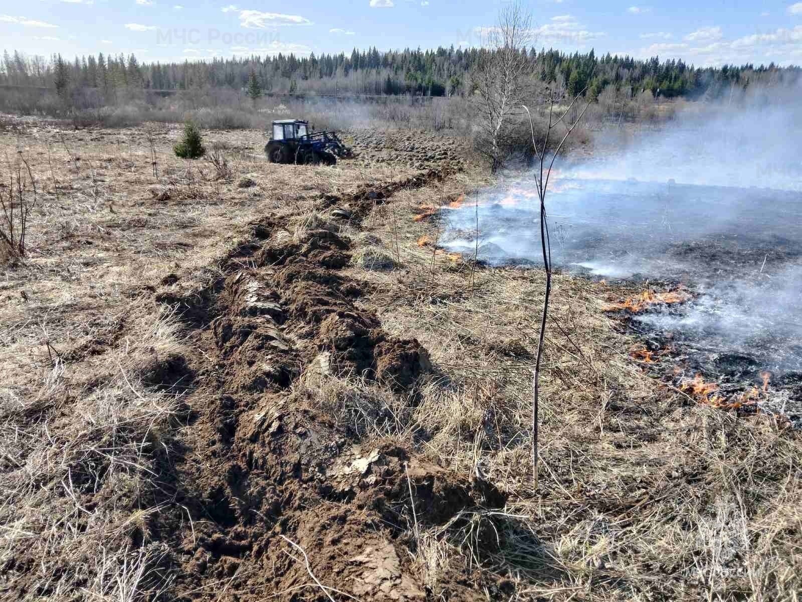 Из-за брошенного пенсионером окурка в Каракулино сгорело почти полгектара сухой травы