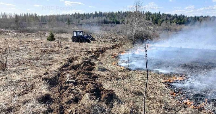 Из-за брошенного пенсионером окурка в Каракулино сгорело почти полгектара сухой травы