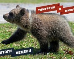 Удмуртия в минуту: главные новости недели