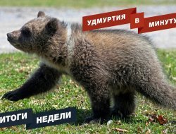Удмуртия в минуту: главные новости недели