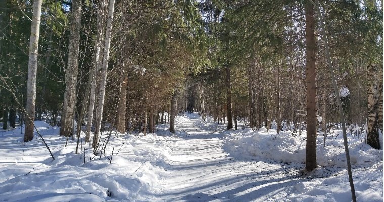 25 февраля в Удмуртии ожидается снег