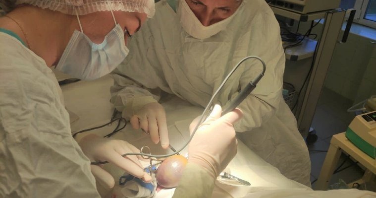 Хирурги Ижевска экстренно прооперировали новорожденную с редкой патологией