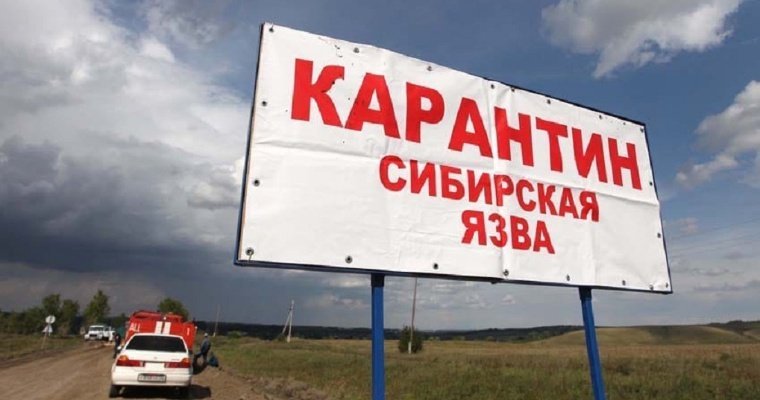 Сибирскую язву заподозрили у жителя Тувы