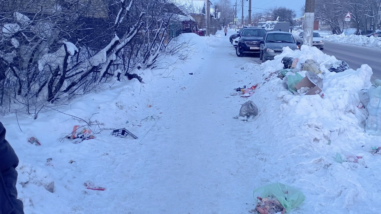 Жители Ижевска жалуются на стихийную свалку на улице Июльской