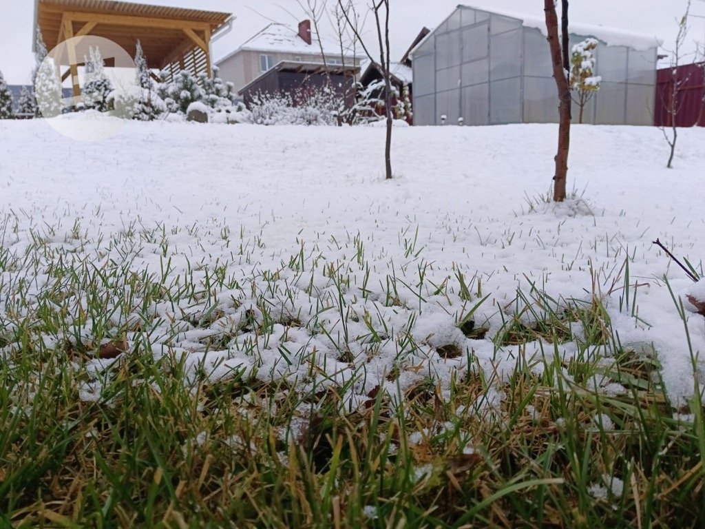 В Удмуртии днём 26 ноября ожидается небольшой снег