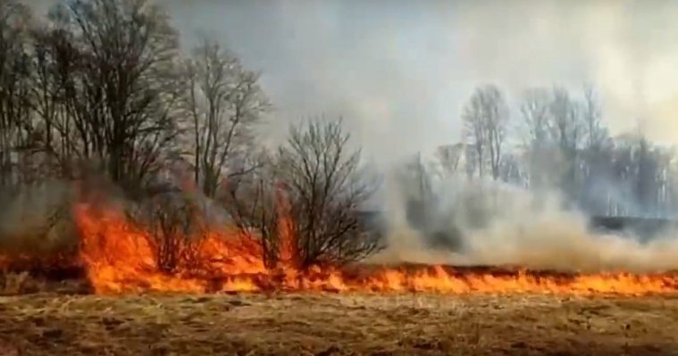 Пожар около реки Буй в Камбарском районе охватил площадь в 300 гектаров