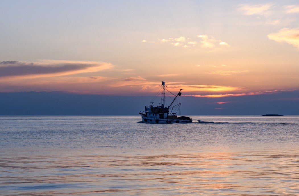 Российские рыболовные компании приостановили деятельность в Азовском море из-за возможных угроз
