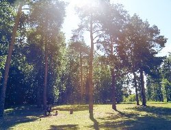 Планы по ремонту дворов в Удмуртии, разрушение древнего леса на Чукотке и перепалка на дебатах Трампа и Байдена