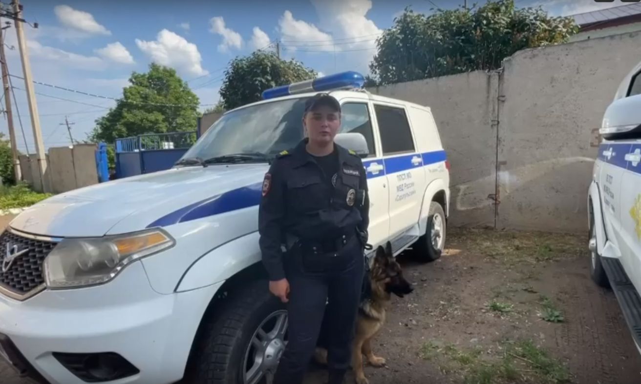 Полицейская собака помогла найти воришку, похитившего компьютер у жителя Сарапула 