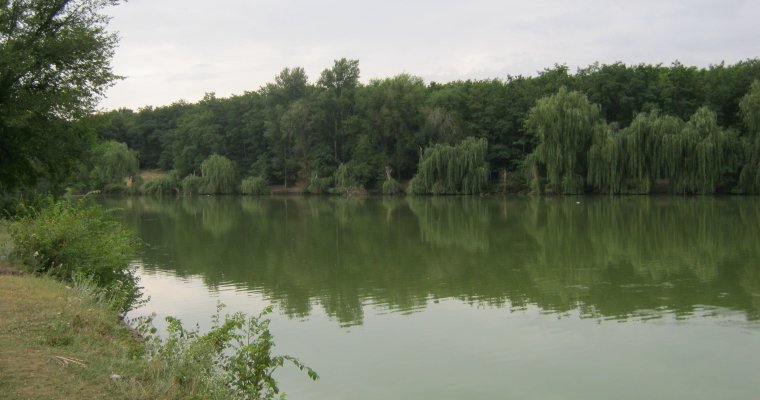 Ты не пройдешь: предприниматель в Завьялово незаконно взимал деньги с приезжающих на Молдаванский пруд