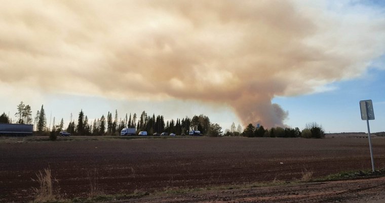 Удмуртия в минуту: охрана Пугачево и медведь в Воткинске