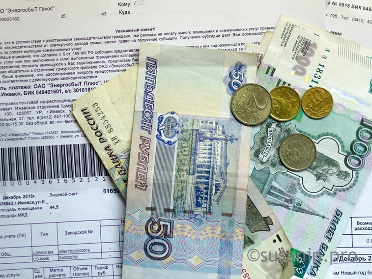 

Размер прожиточного минимума для трудоспособного населения Удмуртии превысил 11 тыс рублей


