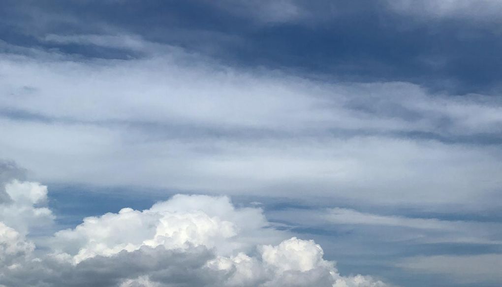 До +15 градусов потеплеет в Удмуртии 30 марта