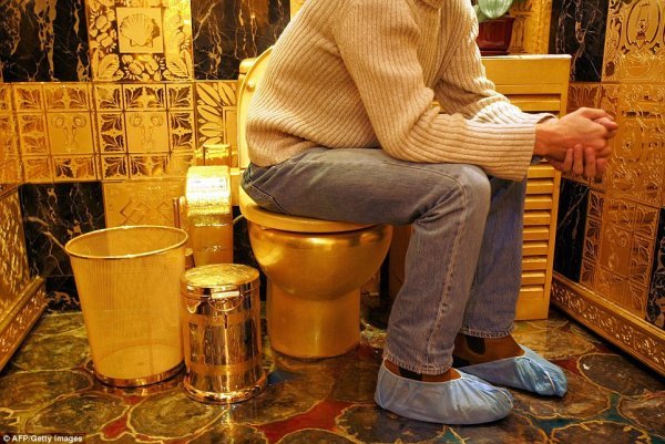 Золотые унитазы обнаружили в доме главаря московской «банды лжеколдунов»