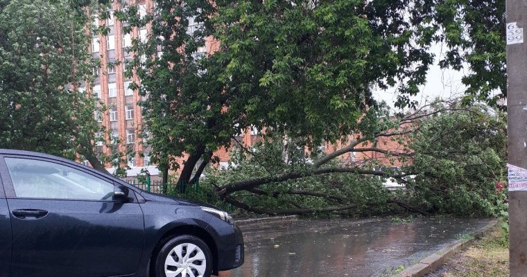 Затопленные улицы и поваленные деревья: как Ижевск пережил дождь