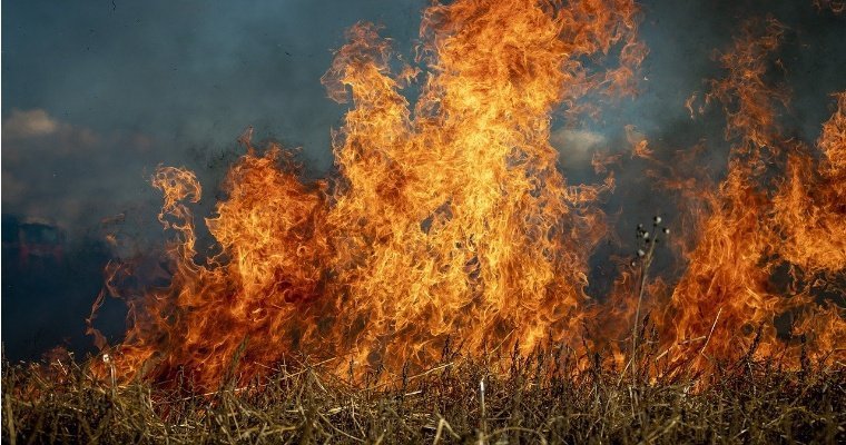 Пик ландшафтных пожаров в Удмуртии может наступить в начале мая