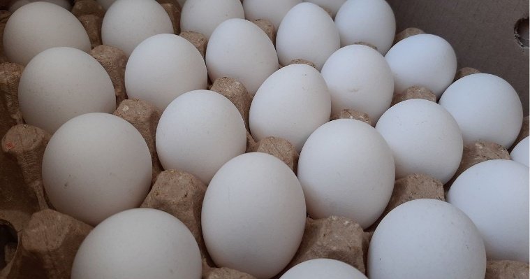 Нуждающиеся жители Удмуртии получат от агрохолдинга «КОМОС ГРУПП» почти 130 тысяч яиц к Пасхе 