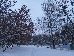 28 декабря температура воздуха в Удмуртии опустится до -10 градусов