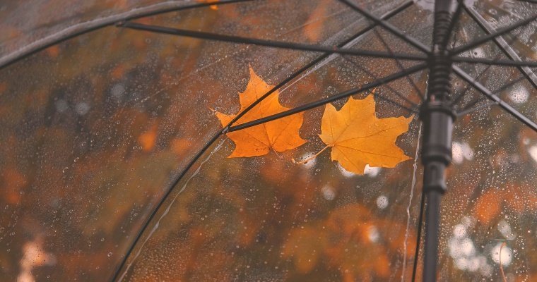 За два дня в Удмуртии выпало до 53% месячной нормы осадков